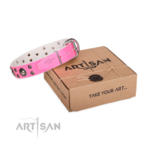 Incredible full grain leather dog collar for walking in style