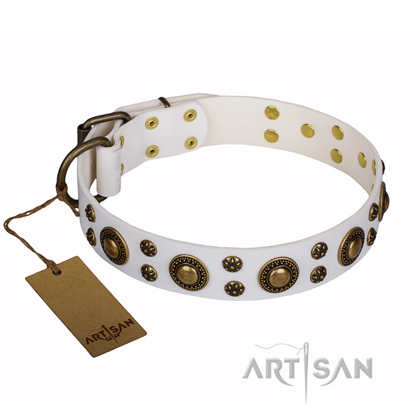 Stylish walking full grain genuine leather collar with adornments for your four-legged friend