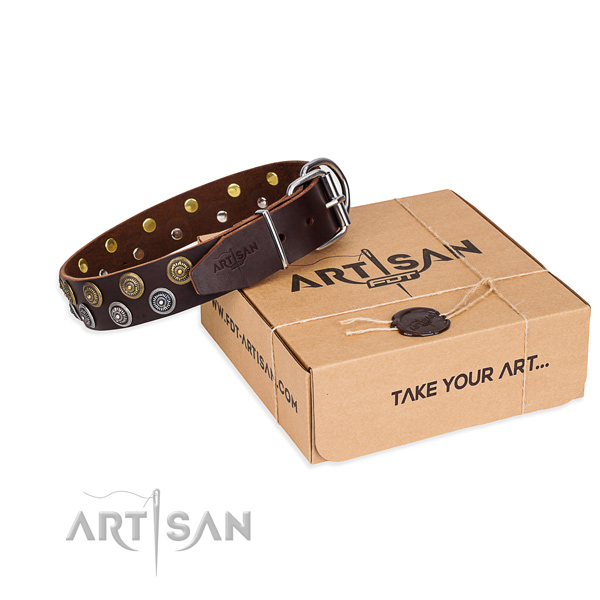 Genuine leather dog collar with embellishments for everyday use