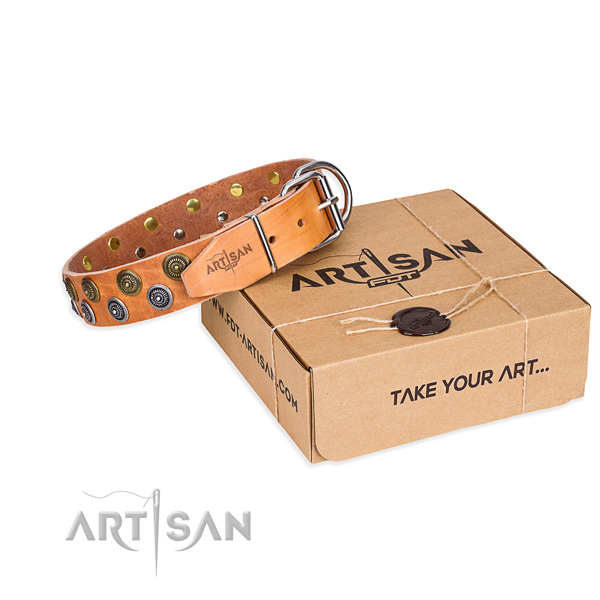 Genuine leather dog collar with embellishments for everyday use