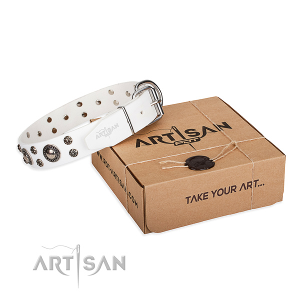Top quality full grain natural leather dog collar for walking in style