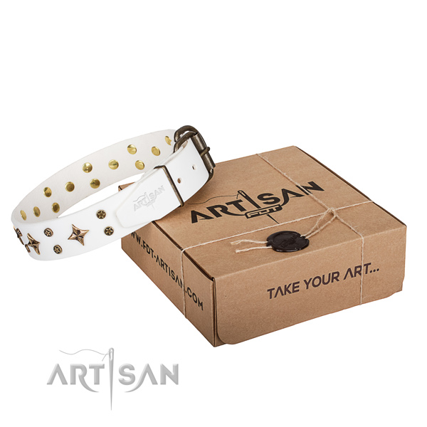 Embellished full grain leather dog collar for handy use