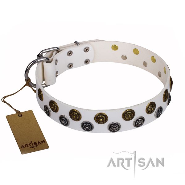 Remarkable genuine leather dog collar for daily walking