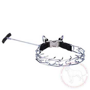 Cane Corso pinch collar with handle
