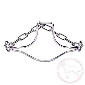 Dog show collar for Cane Corso with head support