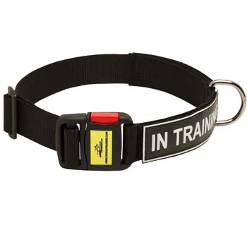 Nylon dog collar of best quality