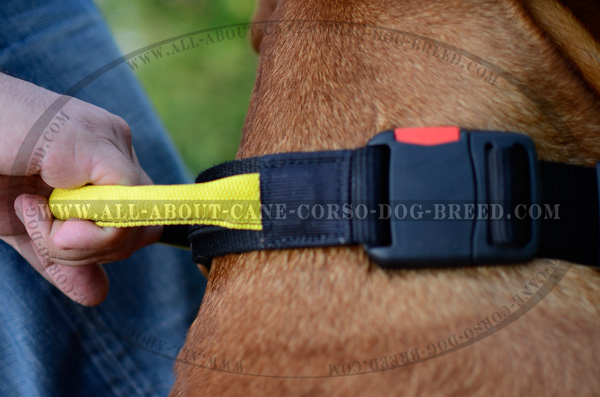 Finest Dog Nylon Collar