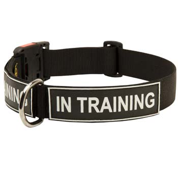 Professional dog collar for big dog breeds