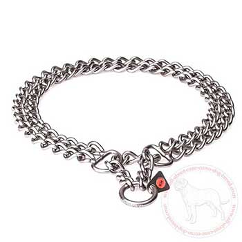 Double chain collar for Cane Corso