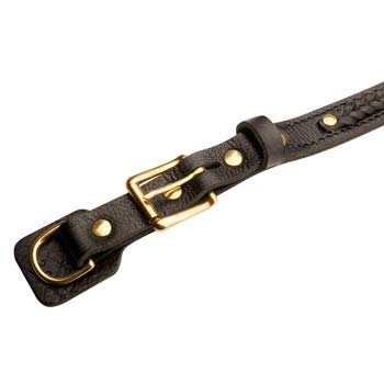 Traditional dependable buckle of leather dog collar