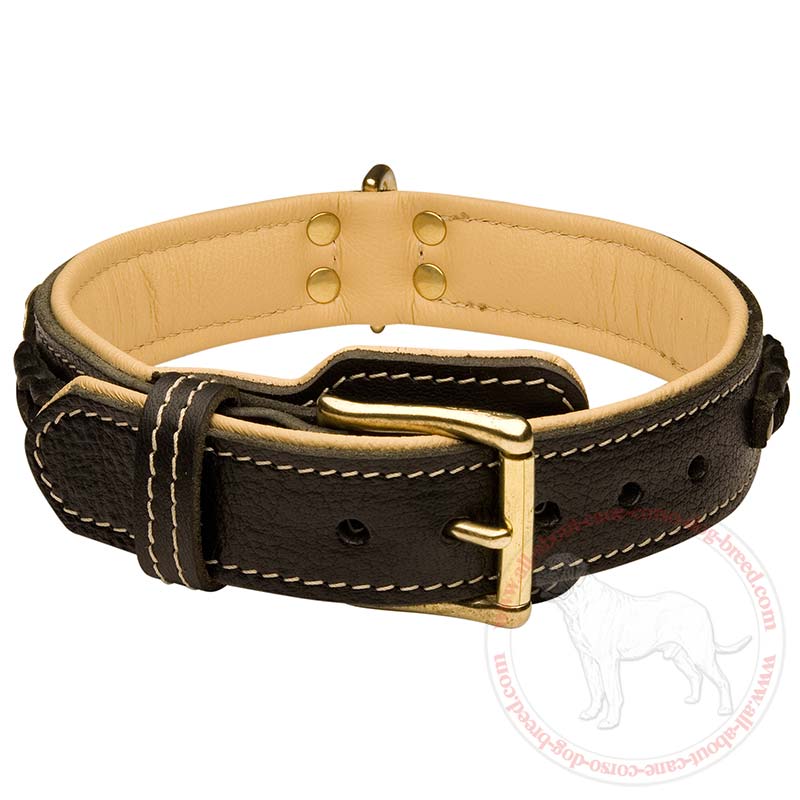 English Mastiff Breed Leather Collar - Decorated Designer ...