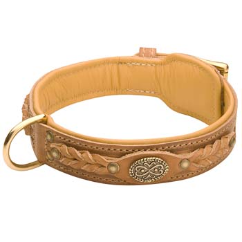 Custom leather collar for English Mastiffs