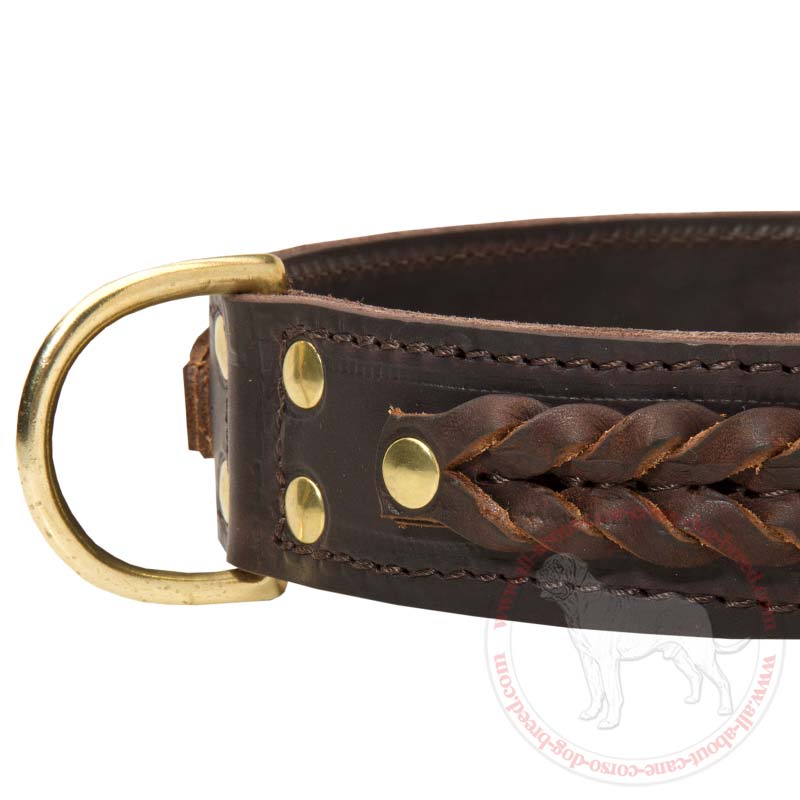 Get Wide Braided Leather Cane Corso Collar | Dog Walking | Training