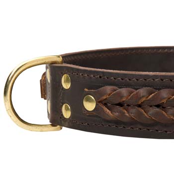 Durable 2 ply leather collar for Cane Corso