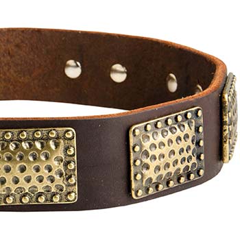 Fashion dog collar for Cane Corso with massive plates