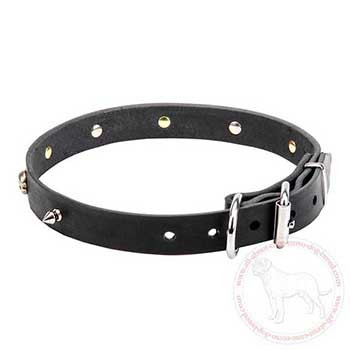 Adorned leather dog collar for Cane Corso