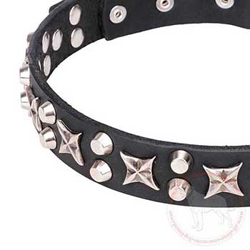 Stars and truncated cones on leather dog collar