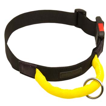 Lightweight nylon dog collar