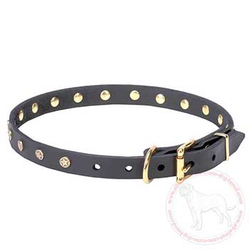 Leather Cane Corso collar with brass buckle and D-ring