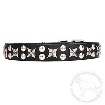 Leather Cane Corso collar decorated with chrome plated elements