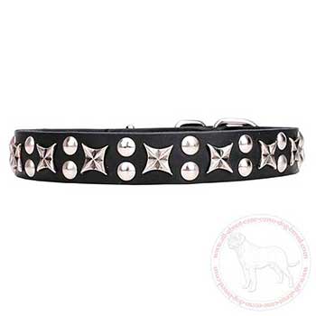 Leather Cane Corso collar decorated with chrome plated elements