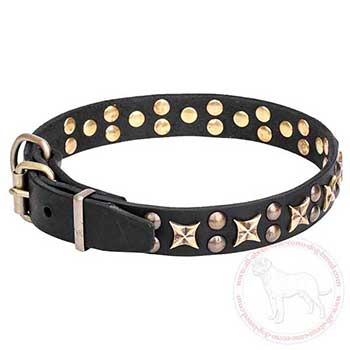 Leather Cane Corso collar decorated with old-bronze plated elements