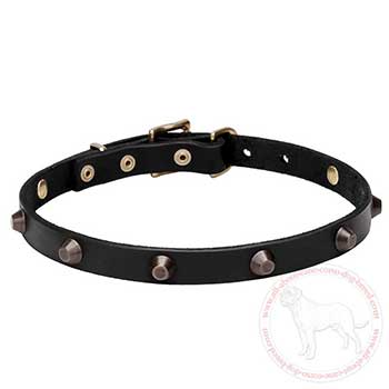 Splendid leather Cane Corso collar with cones