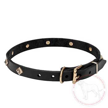 Upscale leather Cane Corso collar