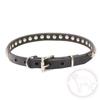 Leather Cane Corso collar with chrome plated hardware