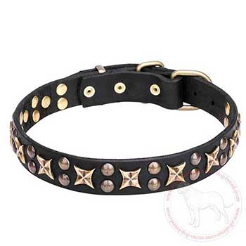 Leather Cane Corso collar with old-bronze plated adornment