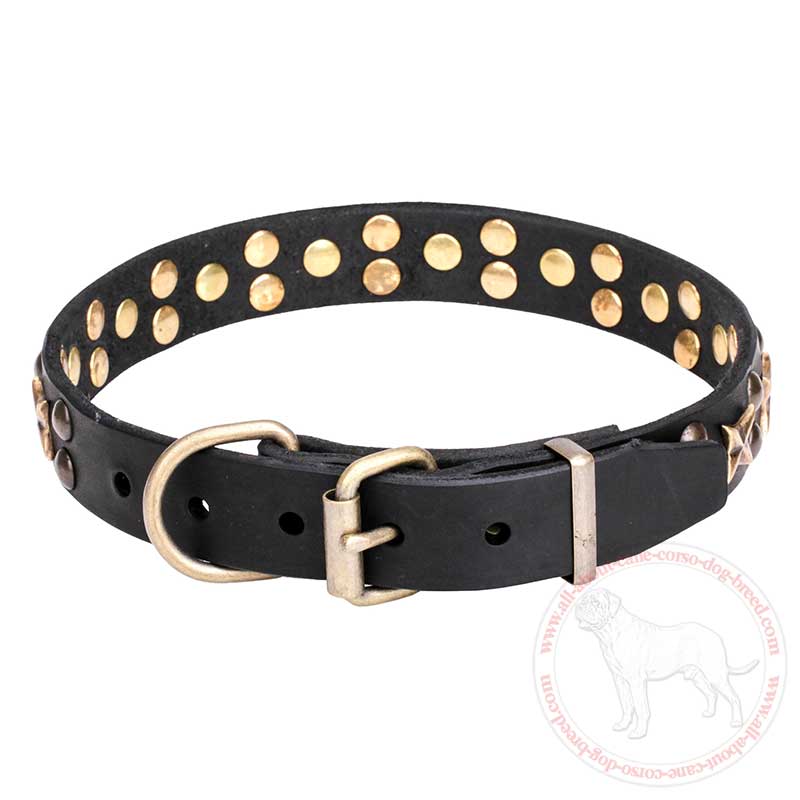 Get Adorned Leather Dog Collar | Cane Corso Walking Equipment