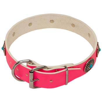 Dog leather Cane Corso collar with nickel plated hardware