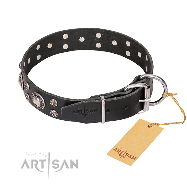 Full grain natural leather dog collar with smoothed exterior