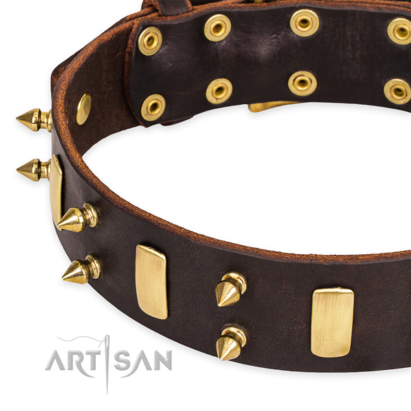 Easy to adjust leather Cane Corso collar with resistant non-rusting set of hardware