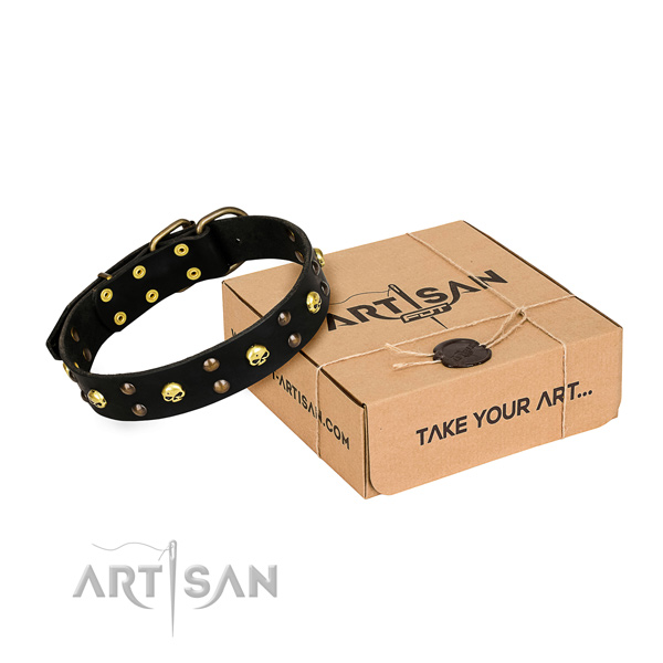 Day-to-day leather dog collar with remarkable adornments