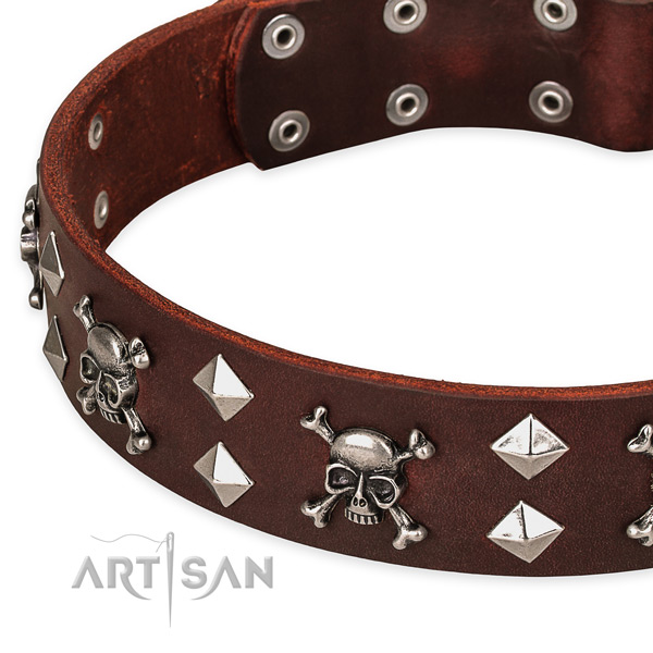 High quality leather dog collar for fail-safe use