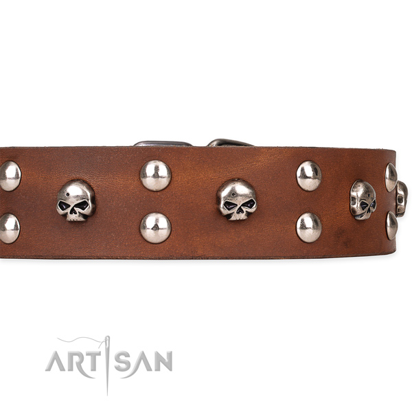 Full grain natural leather dog collar with polished finish