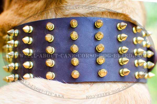 Godish Spikes Hand Set with Rivets