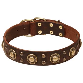 Brown leather dog collar for Cane Corso