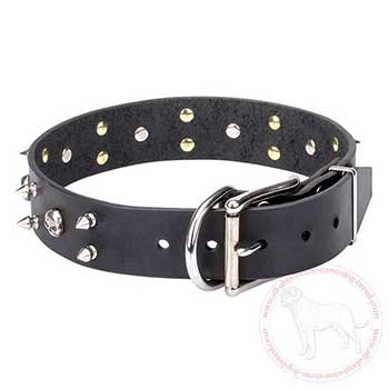 Leather dog collar for Cane Corso with nickel plated buckle and D-ring
