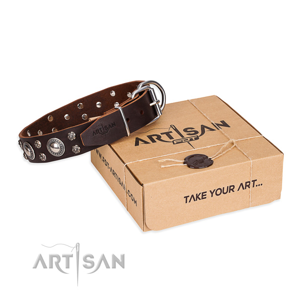 Casual style leather dog collar with sensational embellishments