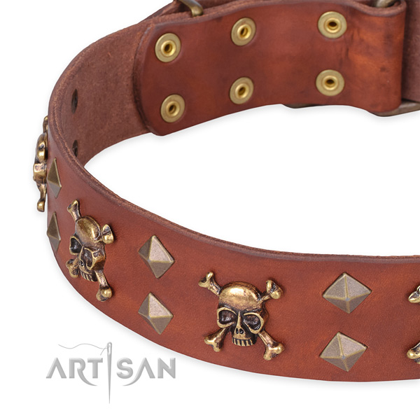 Cane Corso casual leather dog collar with exceptional embellishments