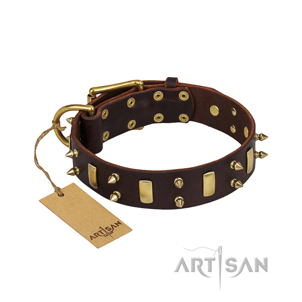 Genuine leather dog collar with thoroughly polished leather surface