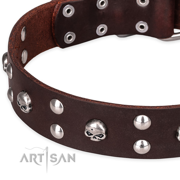 Daily leather dog collar with elegant studs