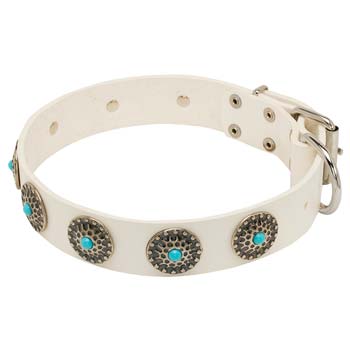 Walking Cane Corso Collar
