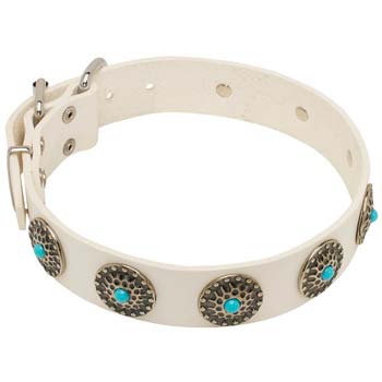 Designer White Collar for Cane Corso Walking