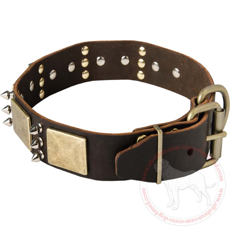 Mastino Napoletano Breed | Designer Vintage Dog Collar