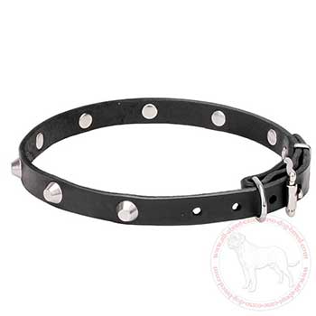 Adjustable leather Mastiff collar