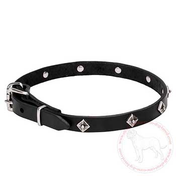 Leather Mastiff collar of dog safe materials