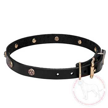 Studded leather Mastiff collar